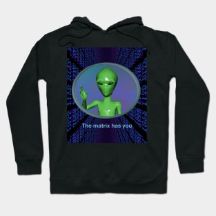 "Matrix Has You" Retro Green Alien Corny 90's Extraterrestrial Creature From Space Bringing a Message to Humanity Hoodie